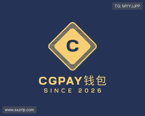 关于CGPay